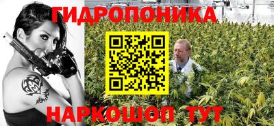 сатива Обь