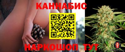 сатива Обь