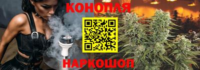 сатива Обь
