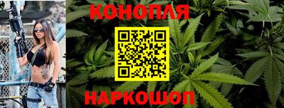 сатива Обь